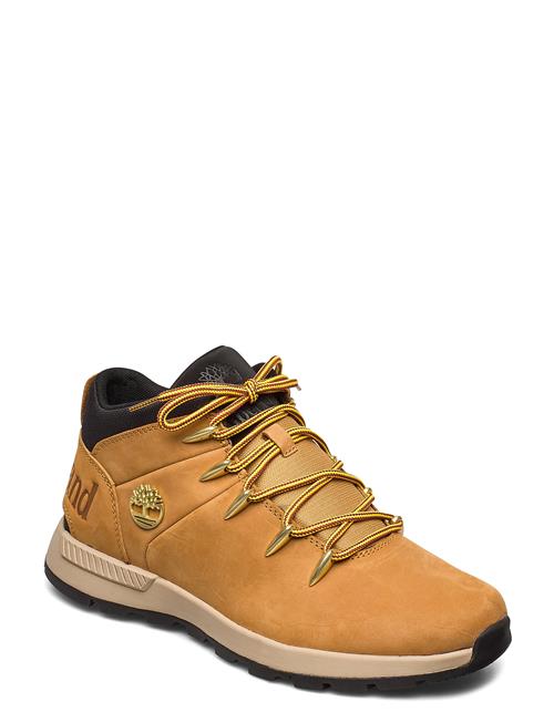 Timberland | Mid Lace Up Sneaker | 42