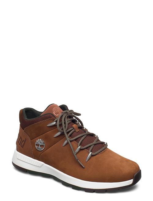 Timberland | Mid Lace Up Sneaker | 41