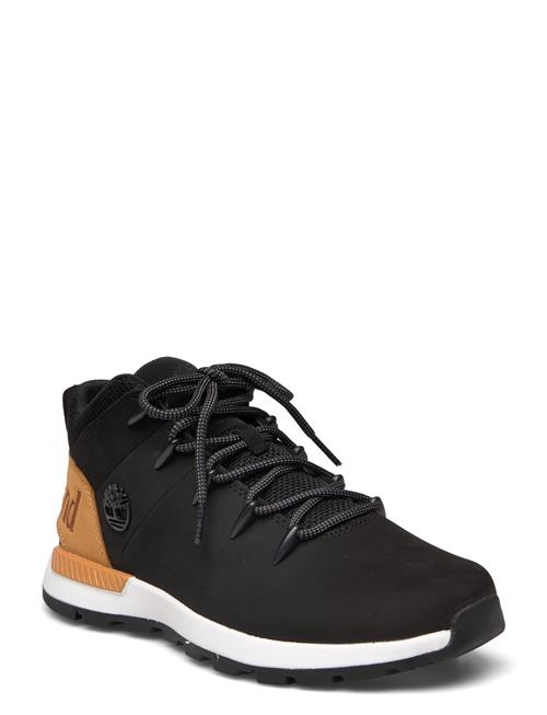 Timberland | Mid Lace Up Sneaker | 42