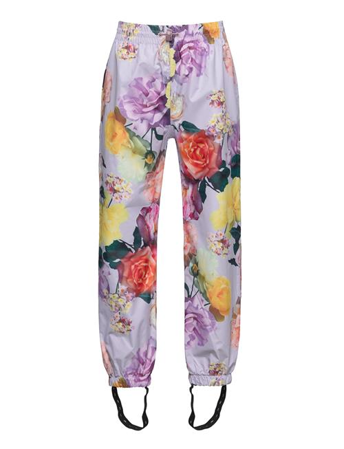 Molo | Waits | 98-104