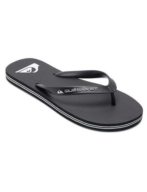 Quiksilver | Molokai Core | 40