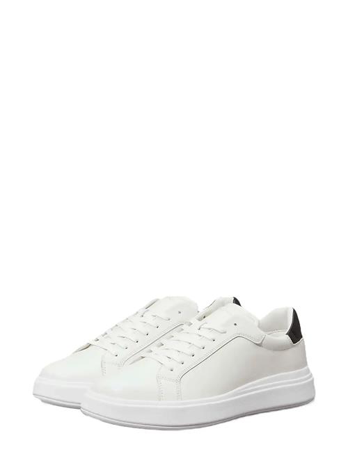 Calvin Klein | Low Top Lace Up Lth | 45