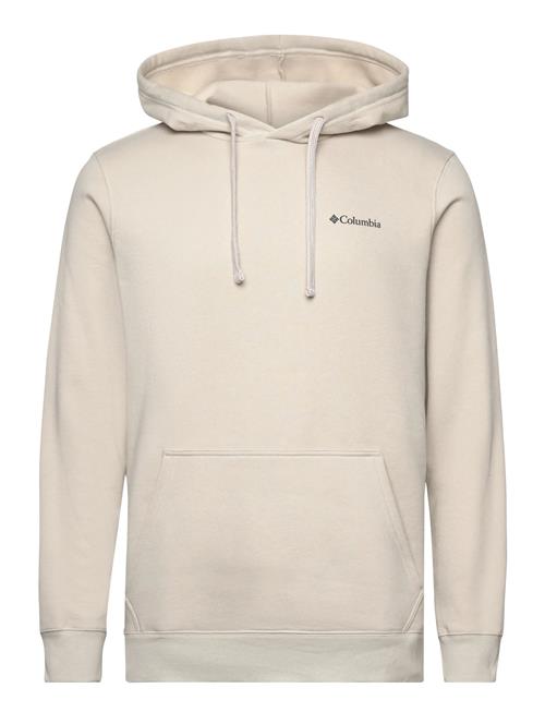 Columbia Sportswear | Columbia Trek Graphic Hoodie | L
