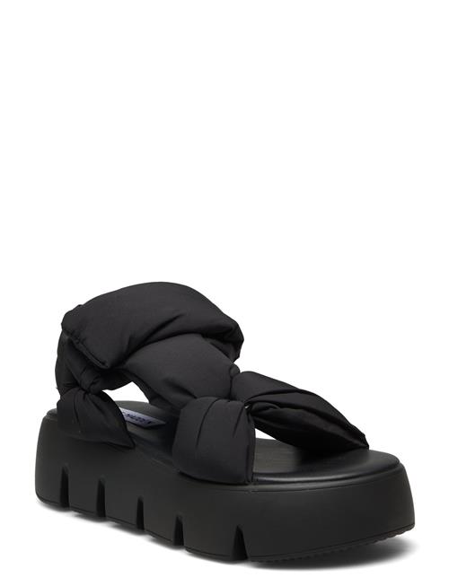 Steve Madden | Bonkers Sandal | 41