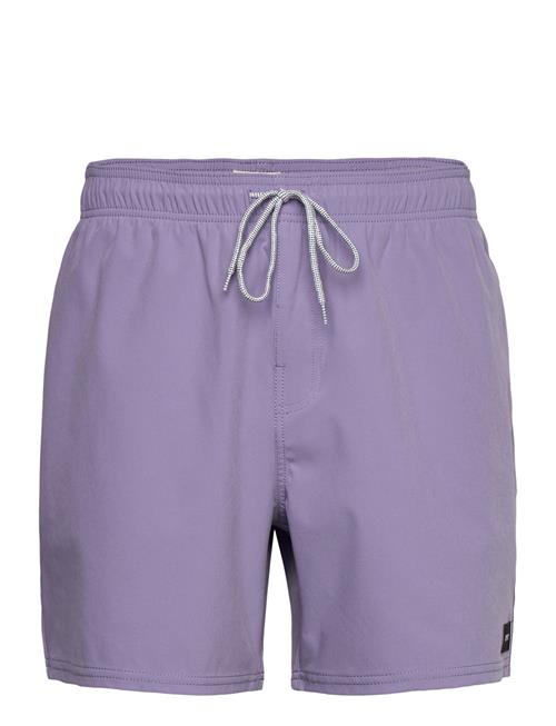 Rip Curl | Daily Volley | L