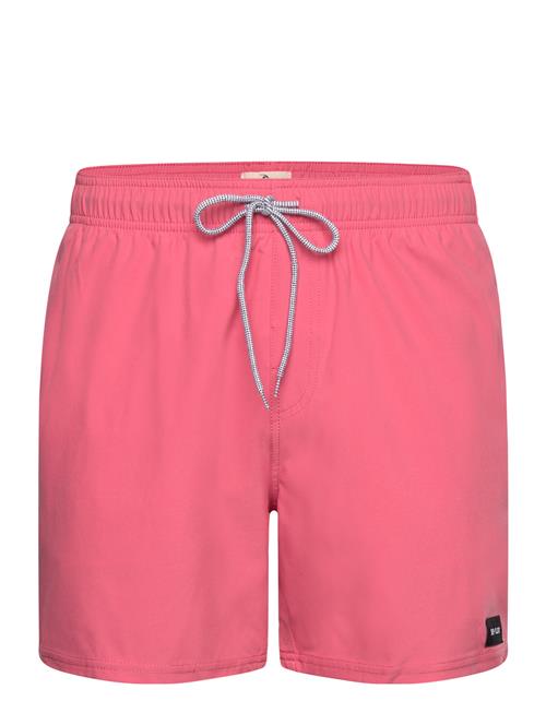 Rip Curl | Daily Volley | XXL