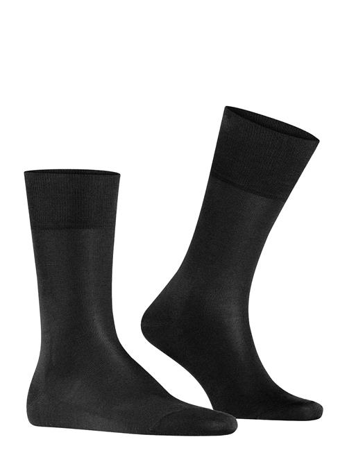 Falke | Tiago Business & Casual | 43-44