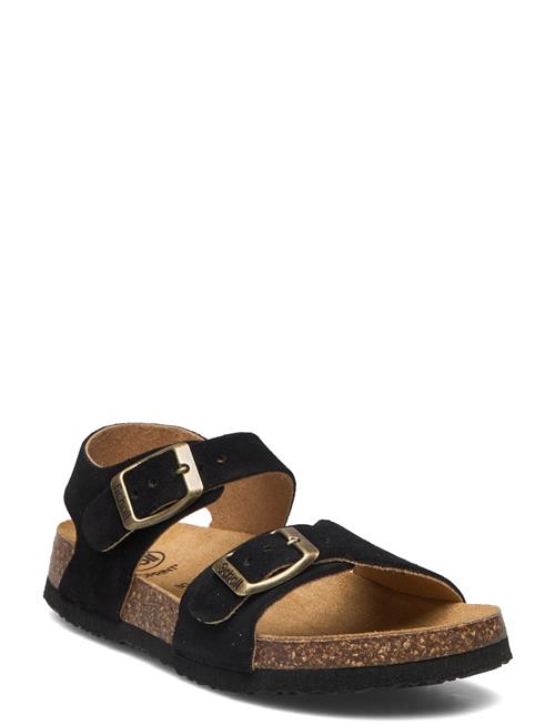 Scholl | Sl Jean Suede Black | 28