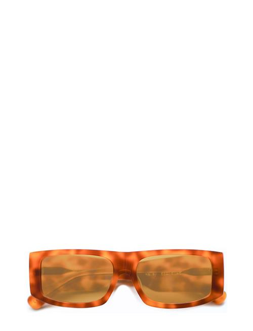 Corlin Eyewear | Hailey | ONE SIZE