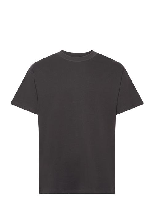 Solid | Sddanton | M