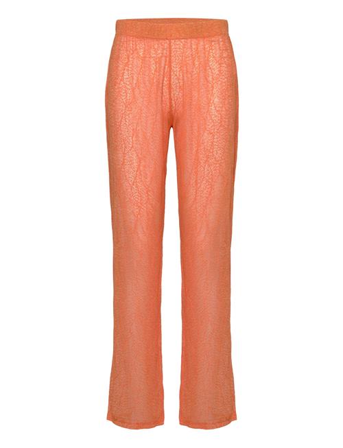 Résumé | Rayannars Pant | XS