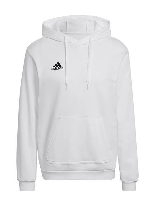 adidas Performance | Ent22 Hoody | XXXL
