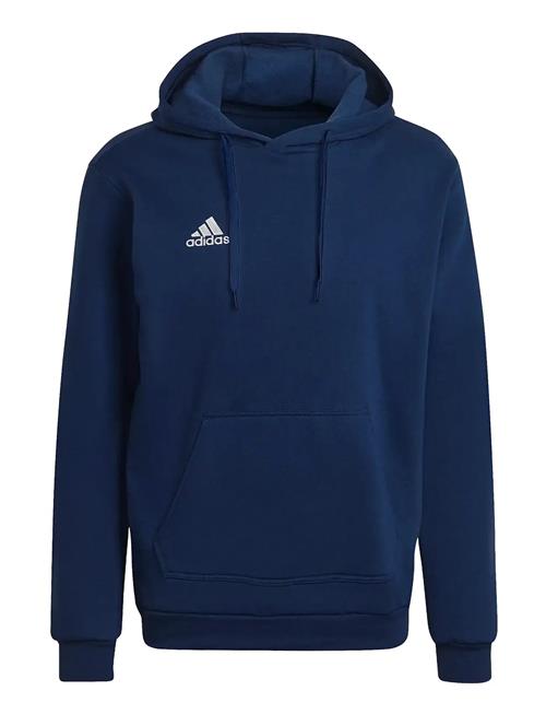 adidas Performance | Ent22 Hoody | XL