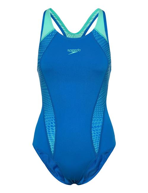 Speedo | Womens Placement Laneback | 48