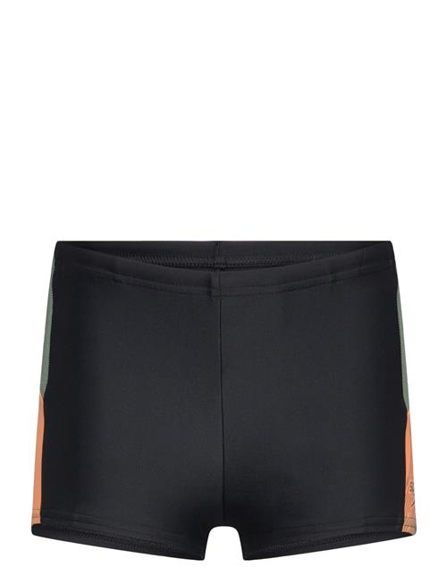 Speedo | Boys Dive Aquashort | 176