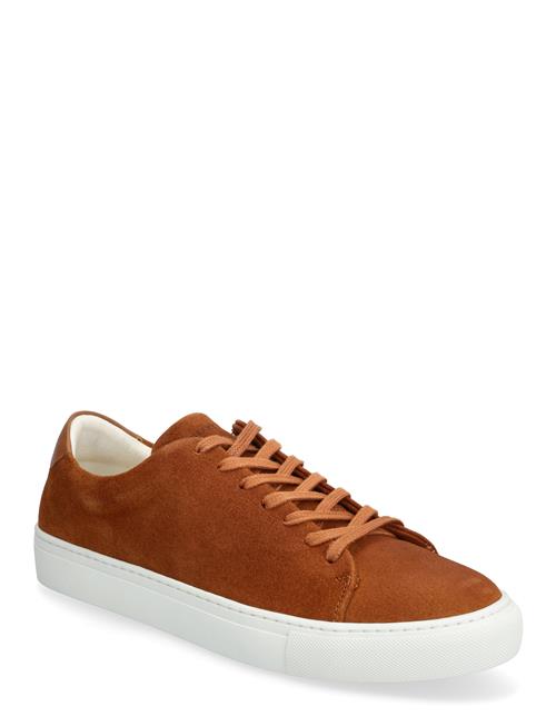 Sneaky Steve | Moore Suede | 40