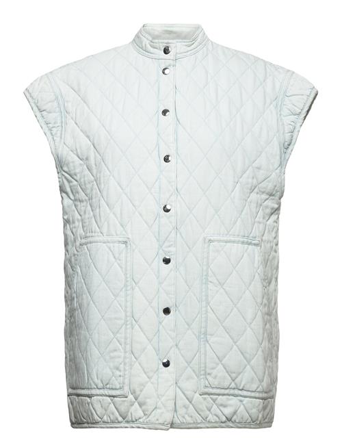 Stella Nova | Rosy | 34