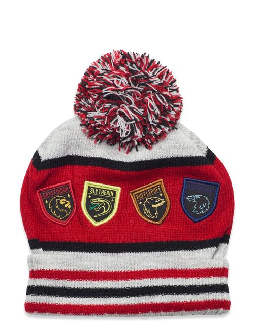 Harry Potter | Bonnet/Peruvien/Cagoule | 54