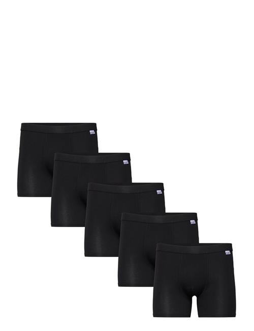 Frank Dandy | 5-P Bamboo Boxer | XL