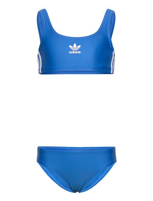adidas Performance | Adicolor Bikini | 104