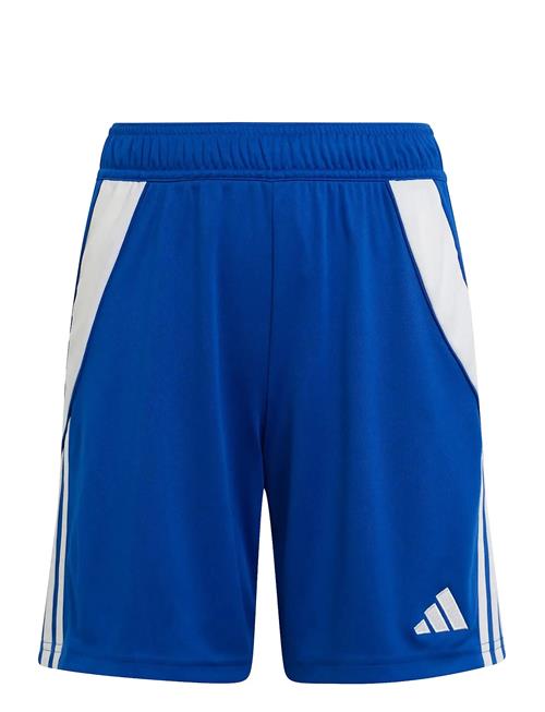 adidas Performance | Tiro24 Sho Y | 152
