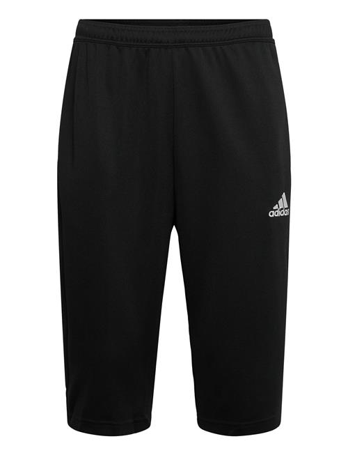 adidas Performance | Ent22 3/4 Pnt | XL