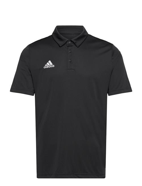 adidas Performance | Ent22 Polo | XXL