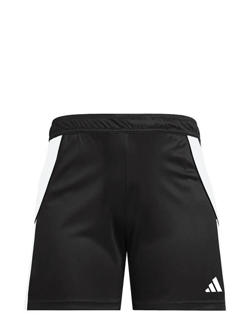 adidas Performance | Tiro24 Trshow | S