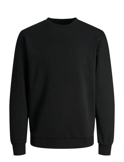 Jack & Jones | Jjebradley Sweat Crew Noos | L