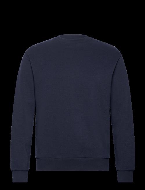 Jack & Jones | Jjebradley Sweat Crew Noos | L