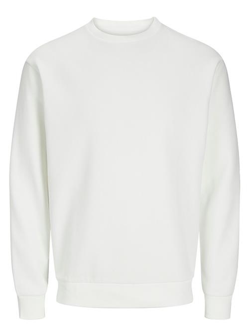 Jack & Jones | Jjebradley Sweat Crew Noos | XL