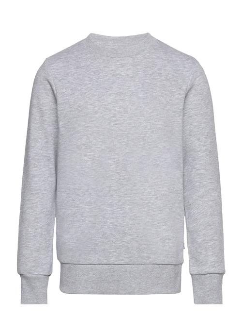 Jack & Jones | Jjebradley Sweat Crew Noos Jnr | 152