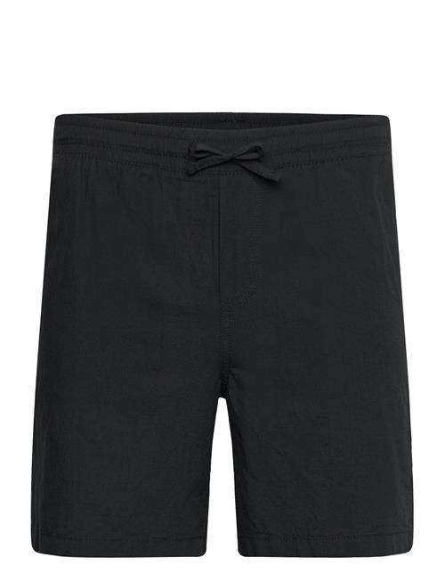 Jack & Jones | Jpstjaiden Jjsummer Jogger Short Sn | S