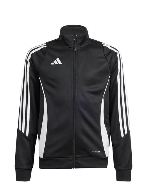 adidas Performance | Tiro24 Trjkty | 176