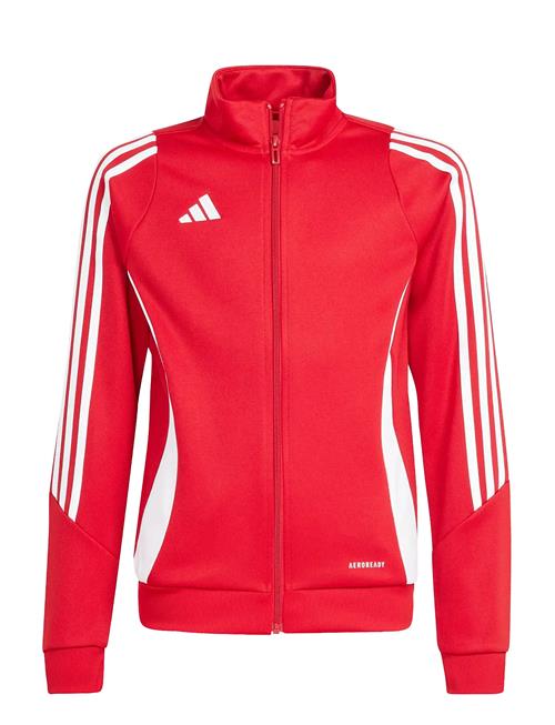 adidas Performance | Tiro24 Trjkty | 140