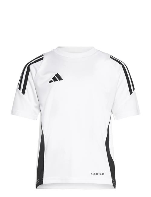 adidas Performance | Tiro24 Jsyy | 128