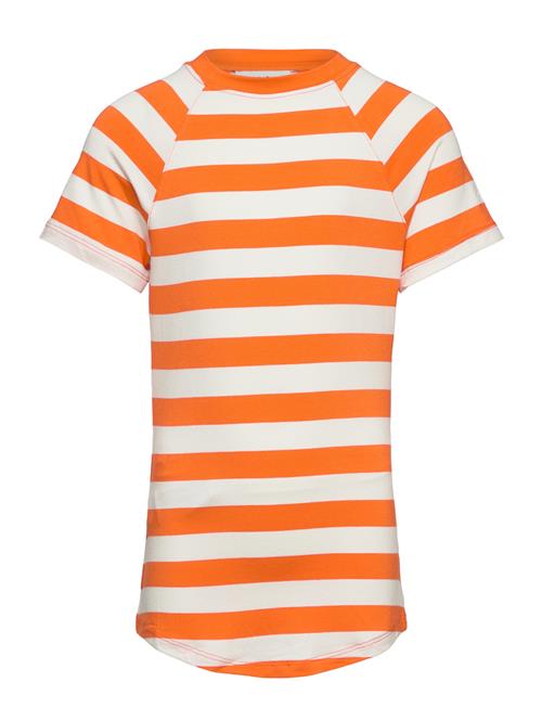Mango | Striped Print T-Shirt | S