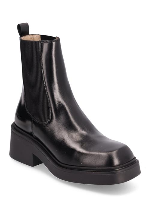 ANGULUS | Booties - Flat - With Elastic | 41