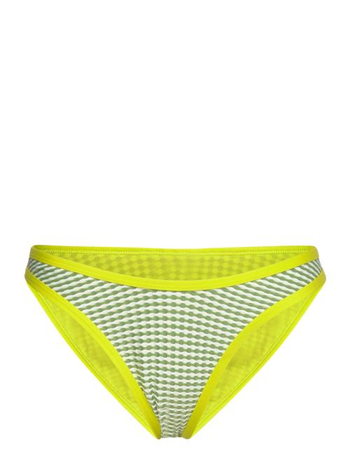 Speedo | Gingham Scoop Bottom | L
