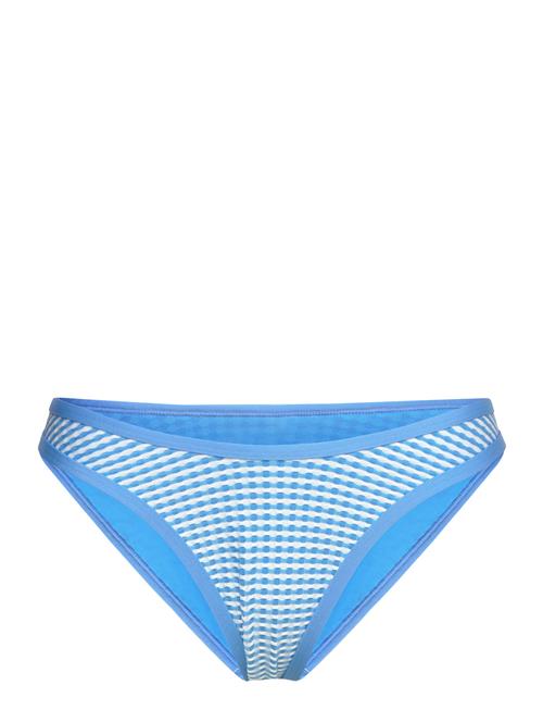 Speedo | Gingham Scoop Bottom | S