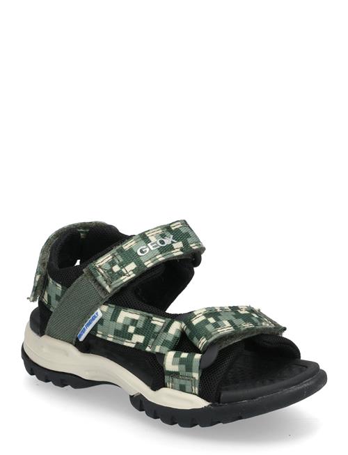 GEOX | J Borealis Boy E | 25