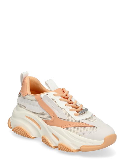 Steve Madden | Possession-E Sneaker | 39