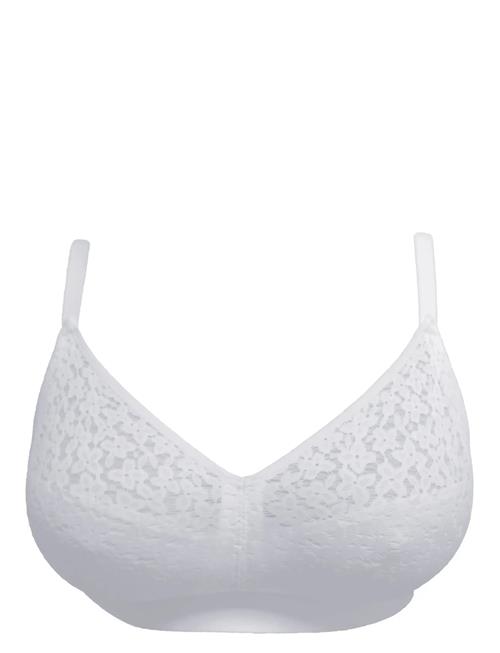 CHANTELLE | Norah Wirefree Support Bra | C x 80