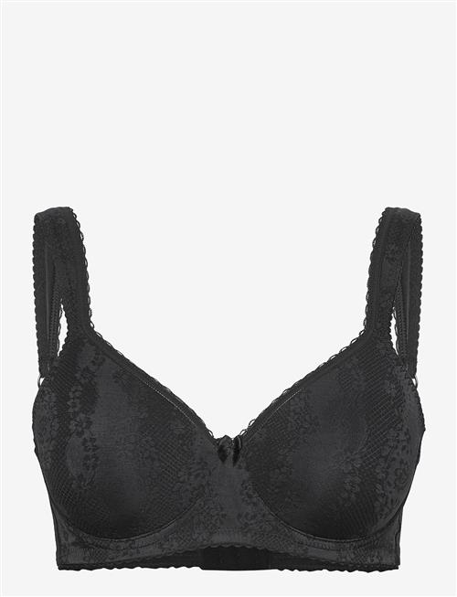 Swegmark | Adorable Shape Wire Bra Padded Cups | E x 70