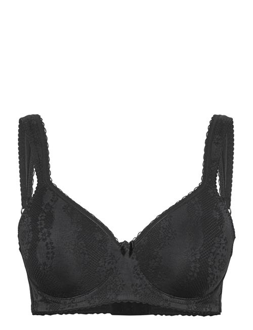 Swegmark | Adorable Shape Wire Bra Padded Cups | E x 85