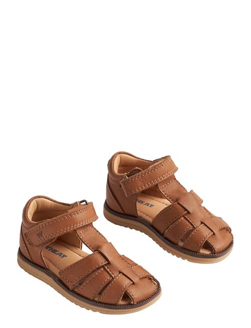 Wheat | Sandal Sky | 19