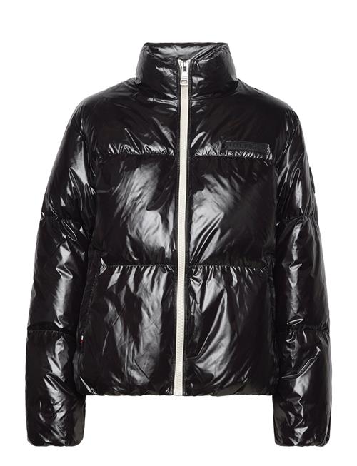 Tommy Hilfiger | New York Gloss Puffer Jacket | XL