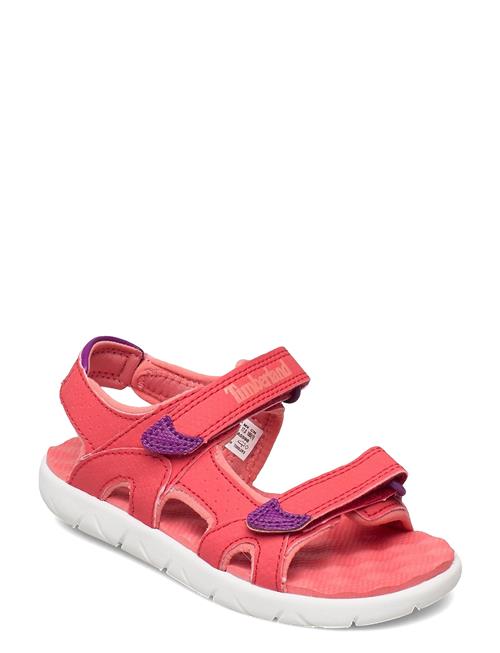Timberland | Perkins Row Backstrap Sandal Cayenne | 29