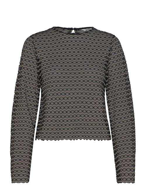 mbyM | Ladessa-M | XS