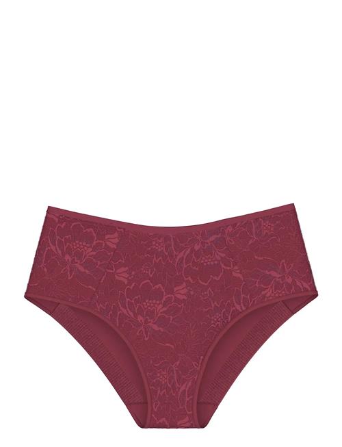 Triumph | Amourette Charm T Maxi02 | 38